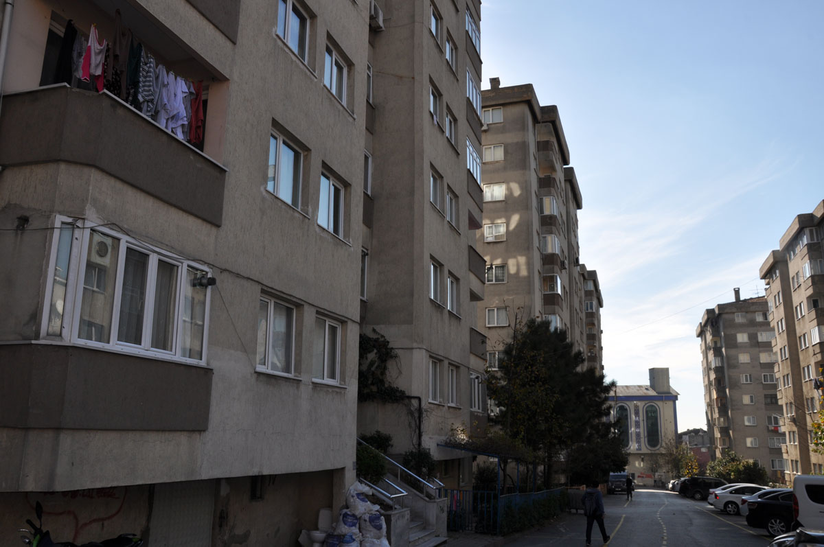 Yeşil Zengibar gallery