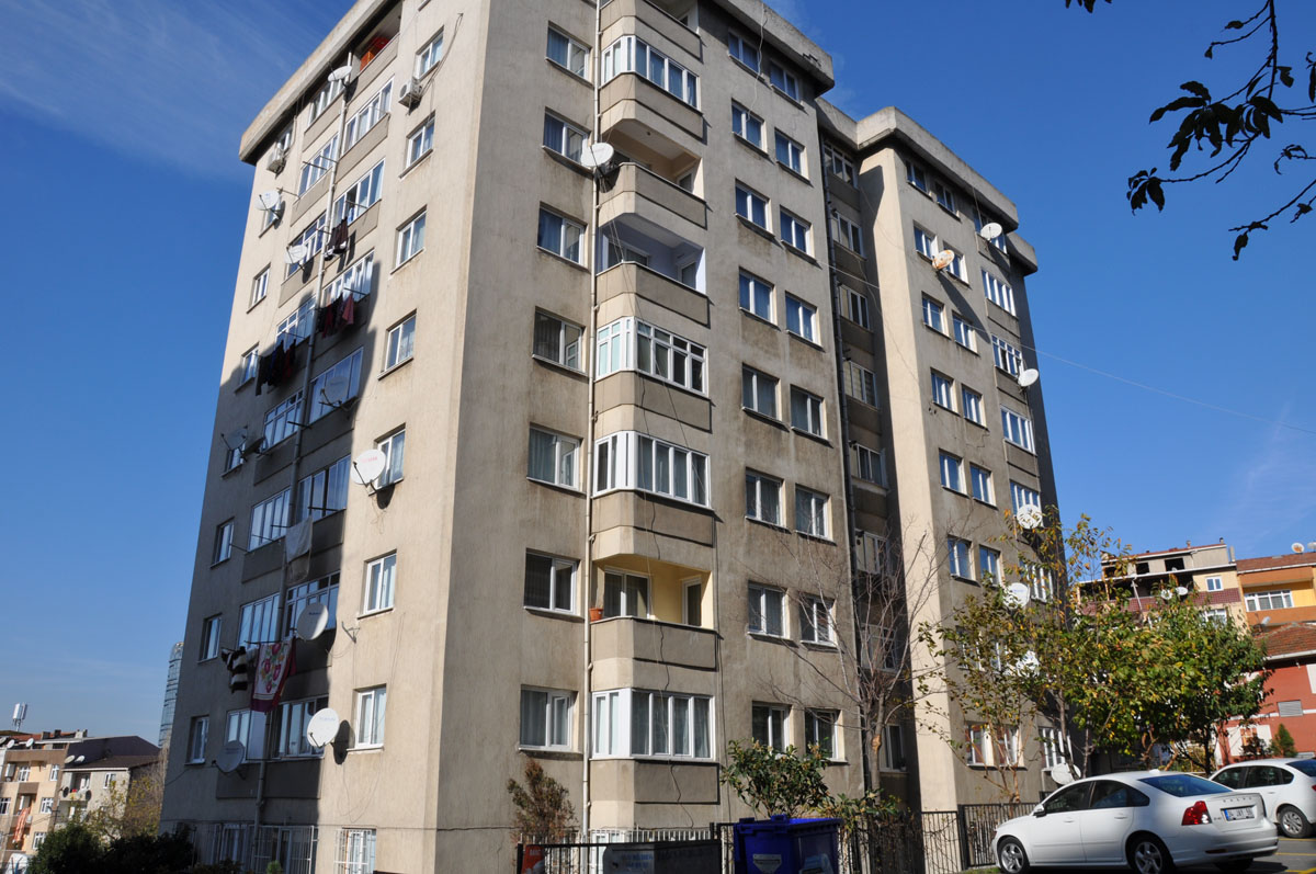 Yeşil Zengibar gallery