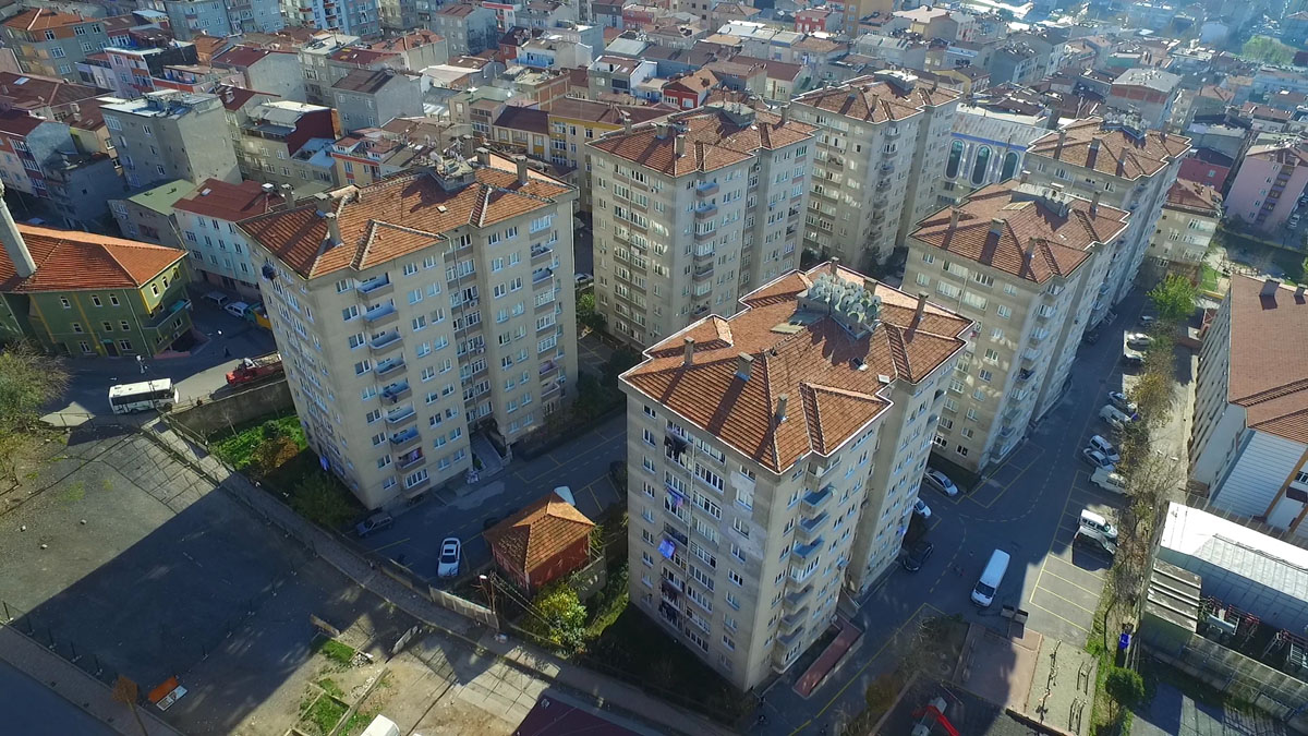 Yeşil Zengibar gallery