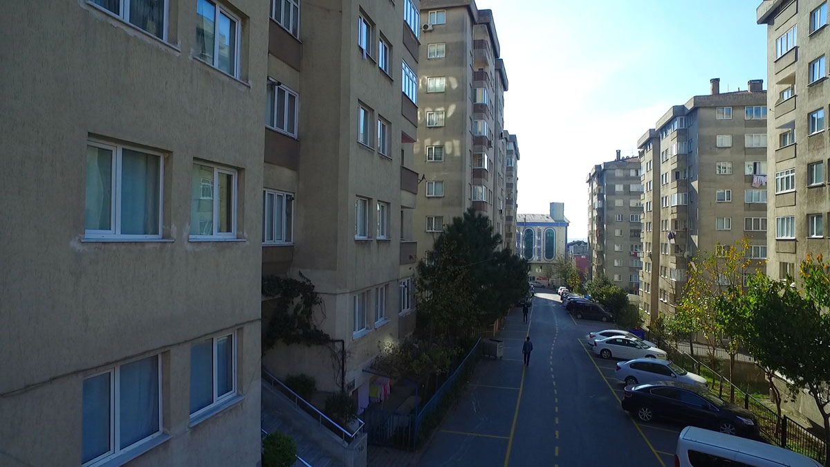 Yeşil Zengibar gallery