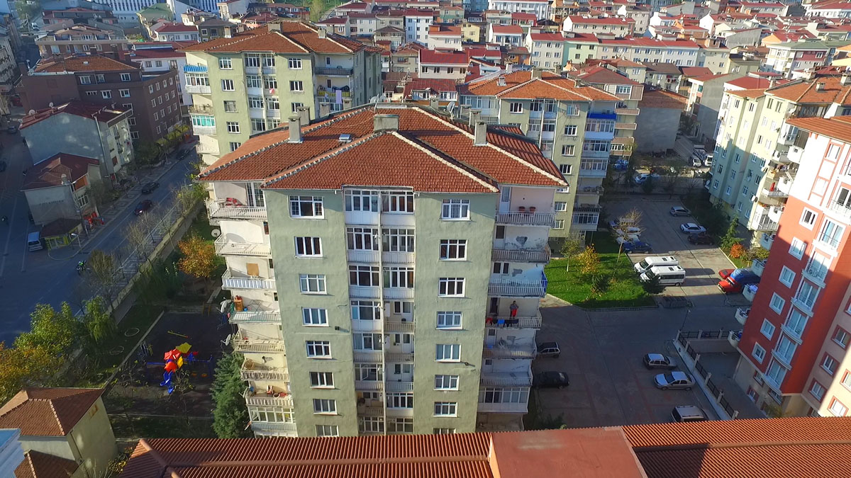 Yeşil Zengibar gallery